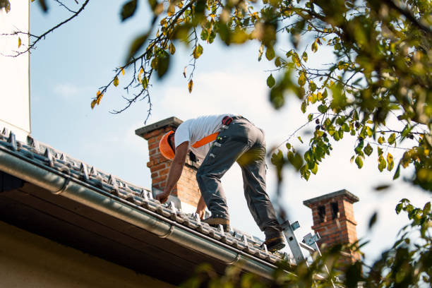 Best Roof Moss and Algae Removal  in Riceville, TN