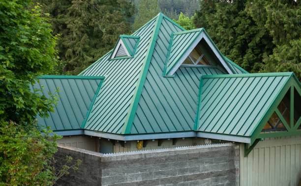 Best Sheet Metal Roofing  in Riceville, TN