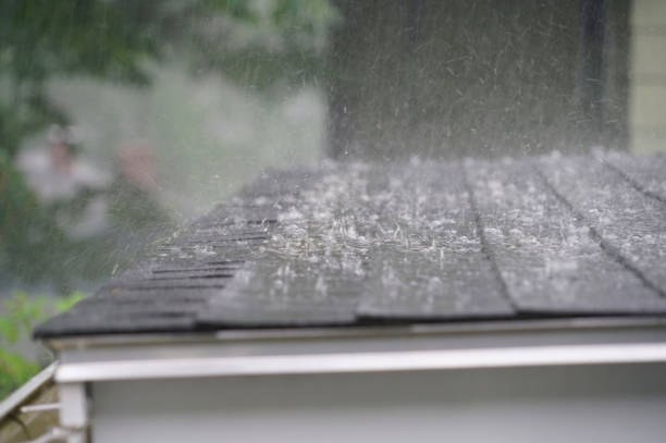 Best Storm Damage Roof Repair  in Riceville, TN