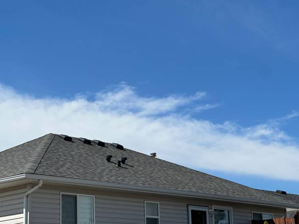 Best Green or Eco-Friendly Roofing Solutions  in Riceville, TN